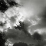 334/366 days photography season 10
