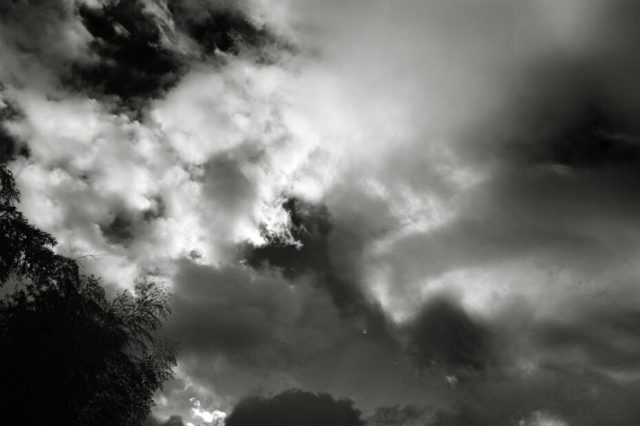 334/366 days photography season 10