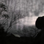 337/366 days photography season 10