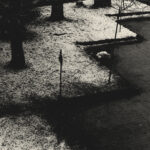 351/366 days photography season 10