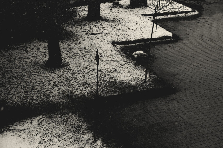 351/366 days photography season 10