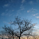 364/366 days photography season 10