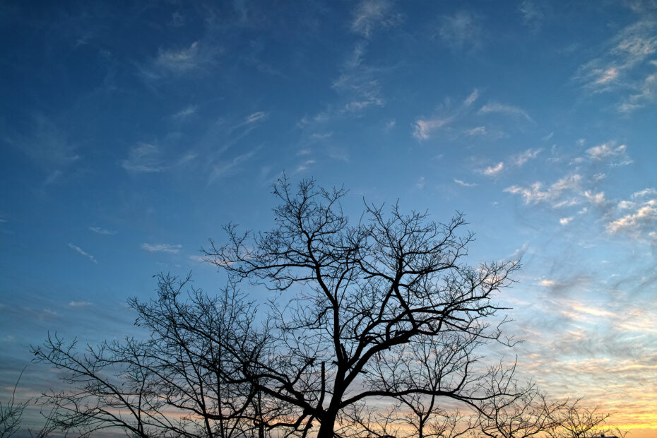 364/366 days photography season 10
