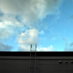 347/366 days photography season 10