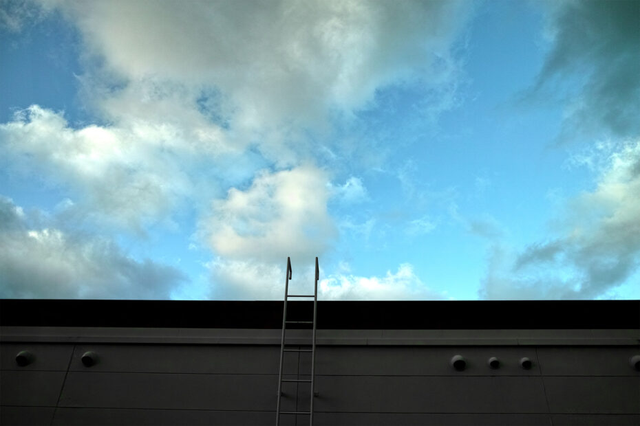 347/366 days photography season 10
