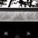 001/366 days photography season 11