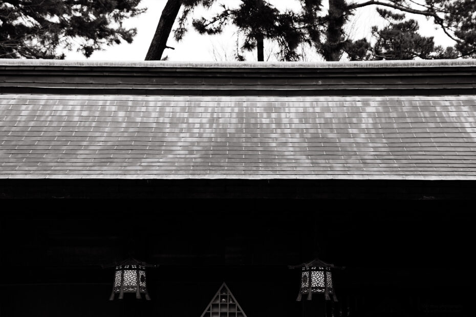 001/366 days photography season 11