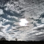 002/366 days photography season 11