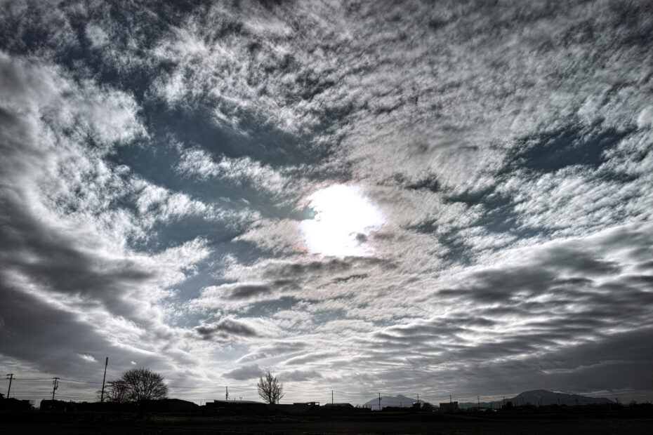 002/366 days photography season 11