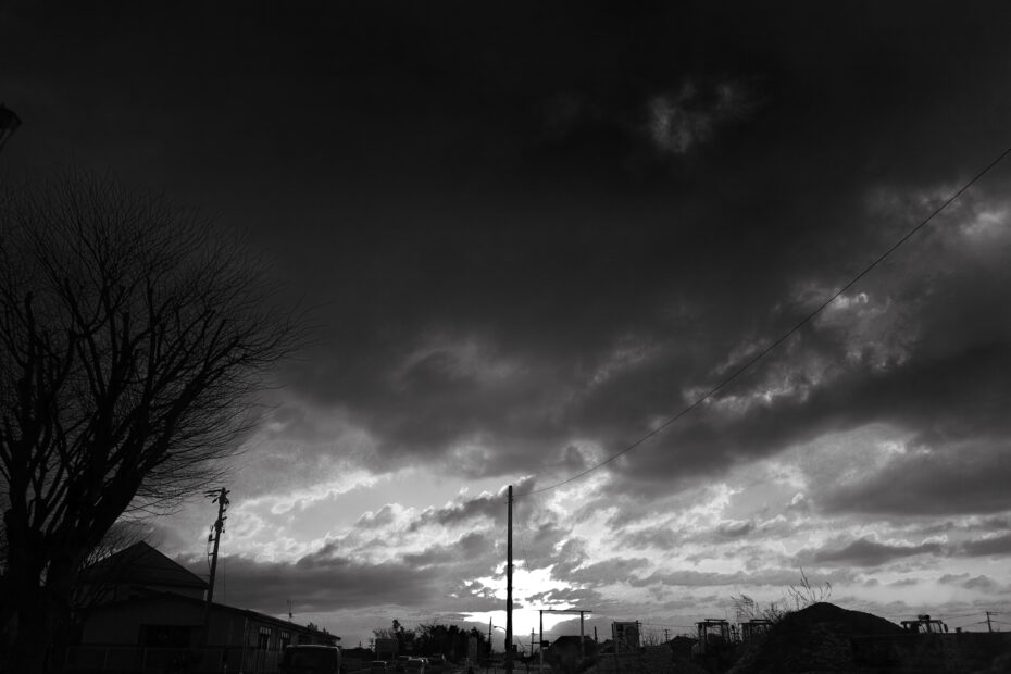 017/366 days photography season 11