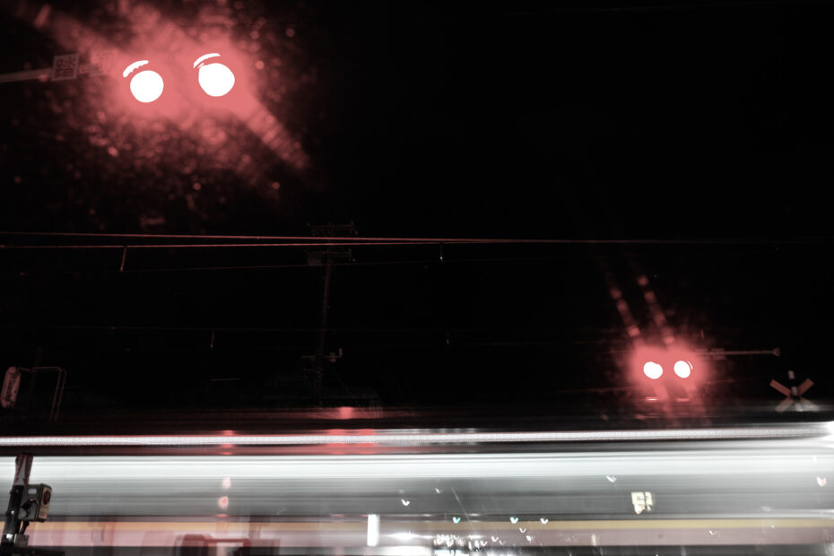 023/366 days photography season 11