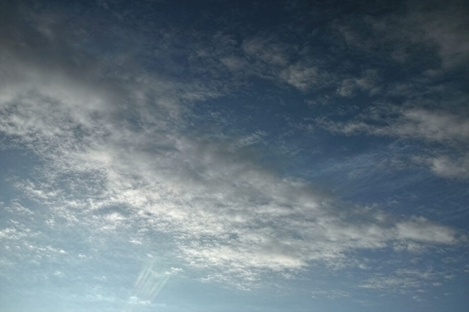 031/366 days photography season 11