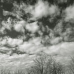 035/366 days photography season 11