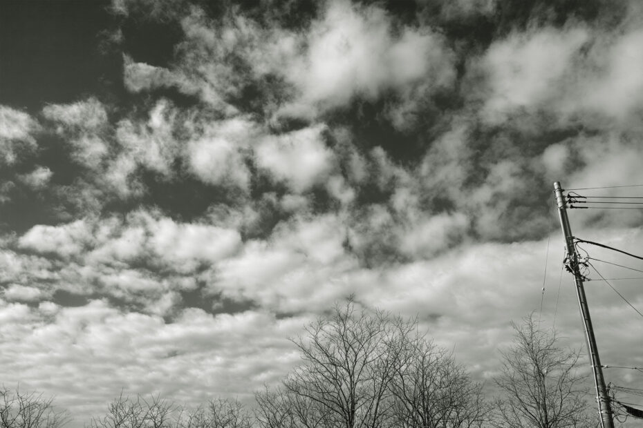 035/366 days photography season 11