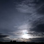 038/366 days photography season 11