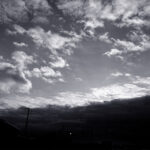 040/366 days photography season 11
