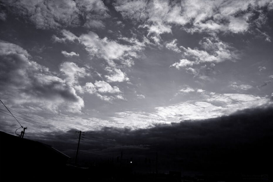 040/366 days photography season 11