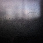 041/366 days photography season 11