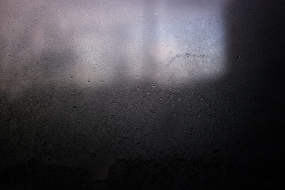 041/366 days photography season 11