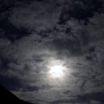 042/366 days photography season 11