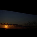 043/366 days photography season 11