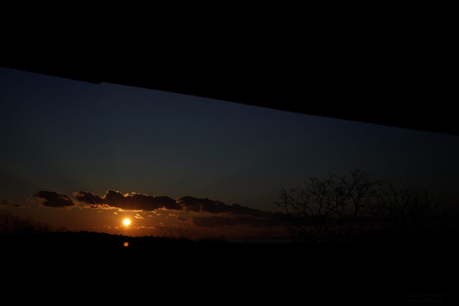 043/366 days photography season 11