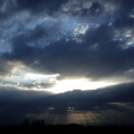 045/366 days photography season 11