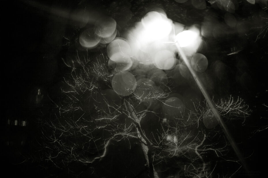 046/366 days photography season 11