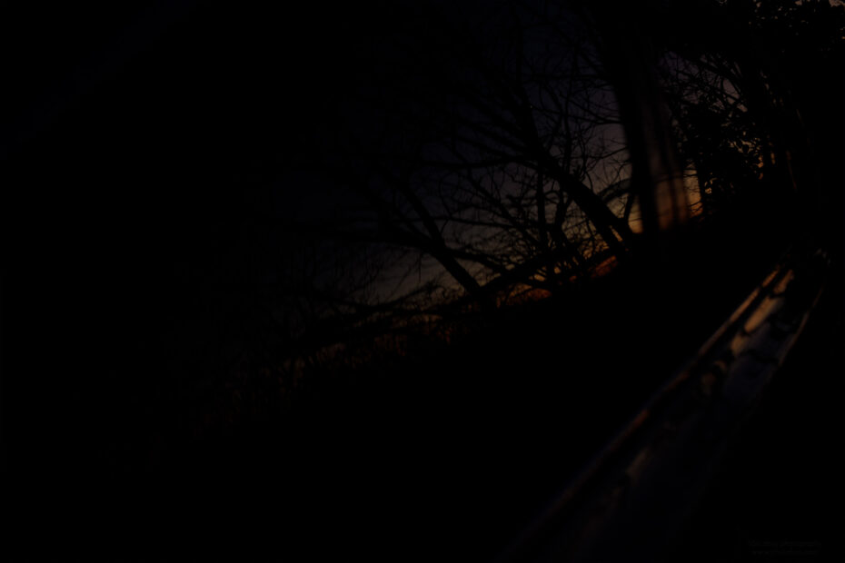 048/366 days photography season 11