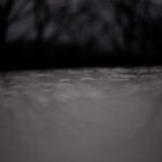 051/366 days photography season 11