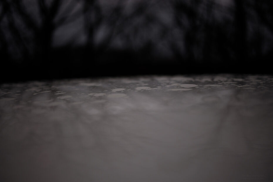 051/366 days photography season 11