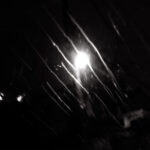 052/366 days photography season 11