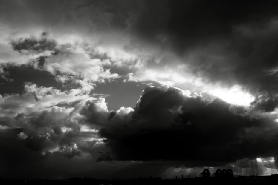 058/366 days photography season 11