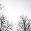098/366 days photography season 11